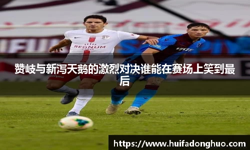 赞岐与新泻天鹅的激烈对决谁能在赛场上笑到最后